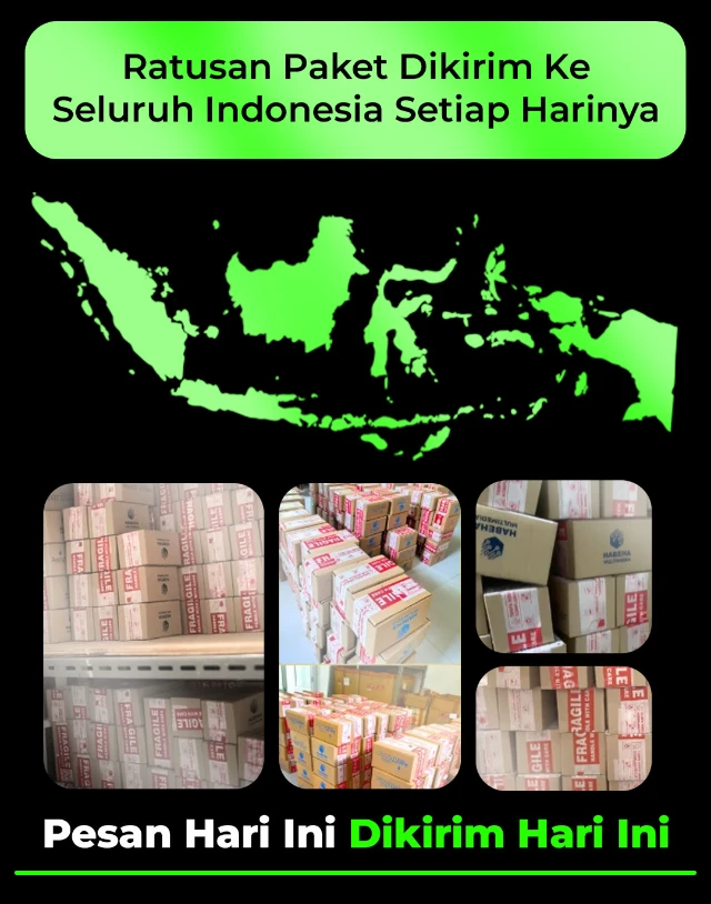 1787718025598-LP-Rifai-bawah_03