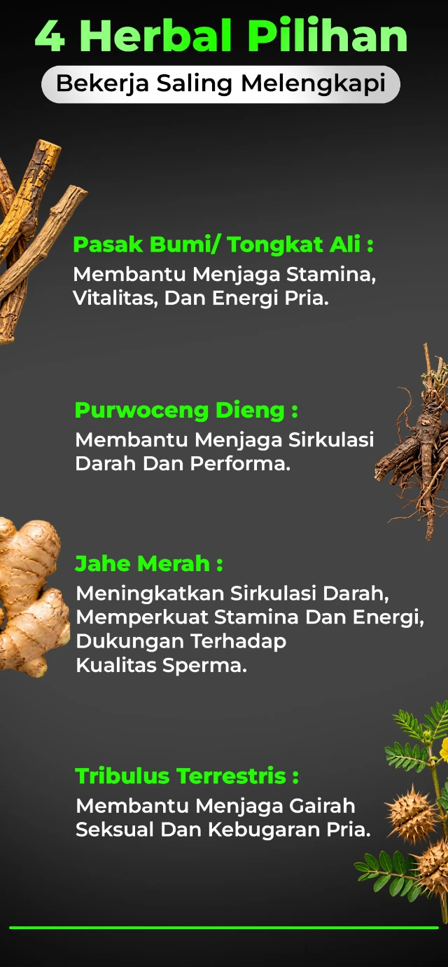 1790391330723-LP-JVN-RIFAI_05